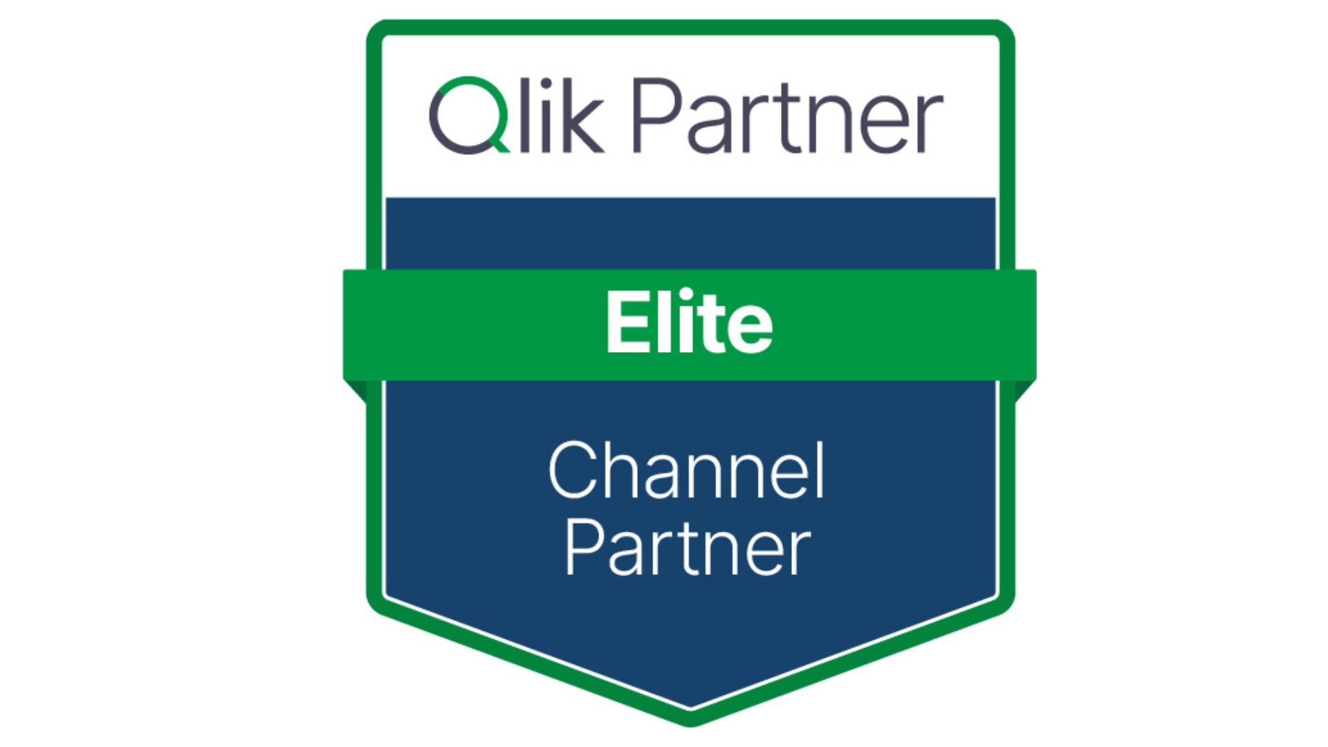 Qlik Elite Partner